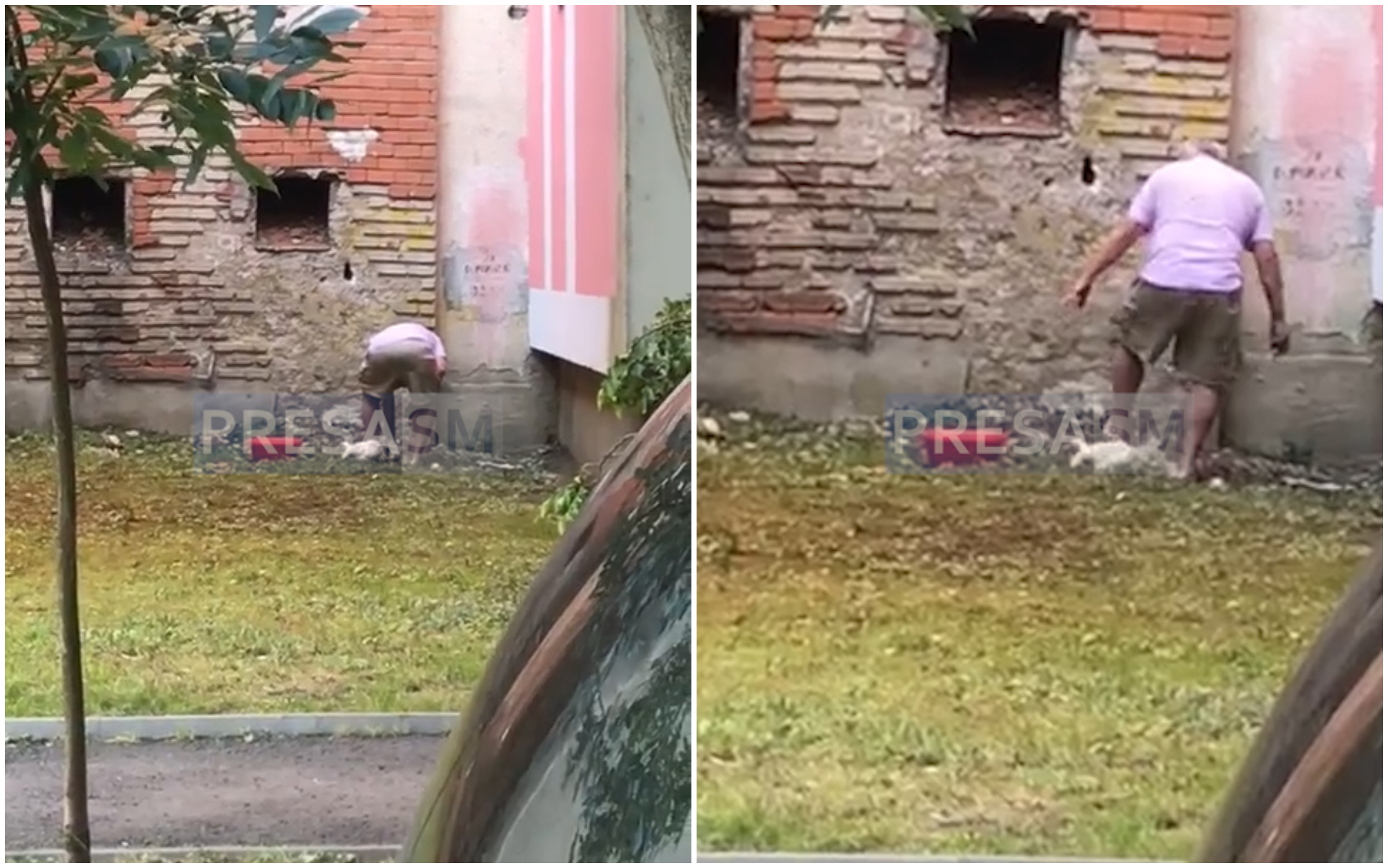 VIDEO. Abator în aer liber! Un sătmărean omoară păsări în Micro 16, lângă bloc