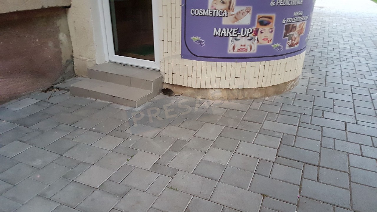 FOTO/VIDEO. Șobolanii umblă în plina zi pe bulevardul Transilvania