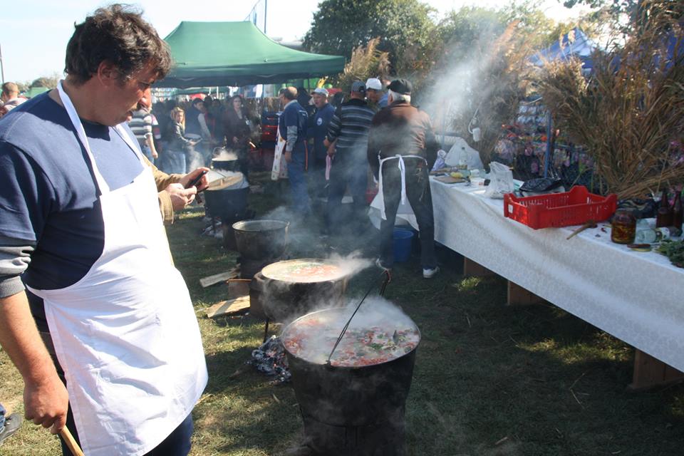 PROGRAM COMPLET. Festival pescăresc, zeci de bucătari se vor întrece în județul Satu Mare