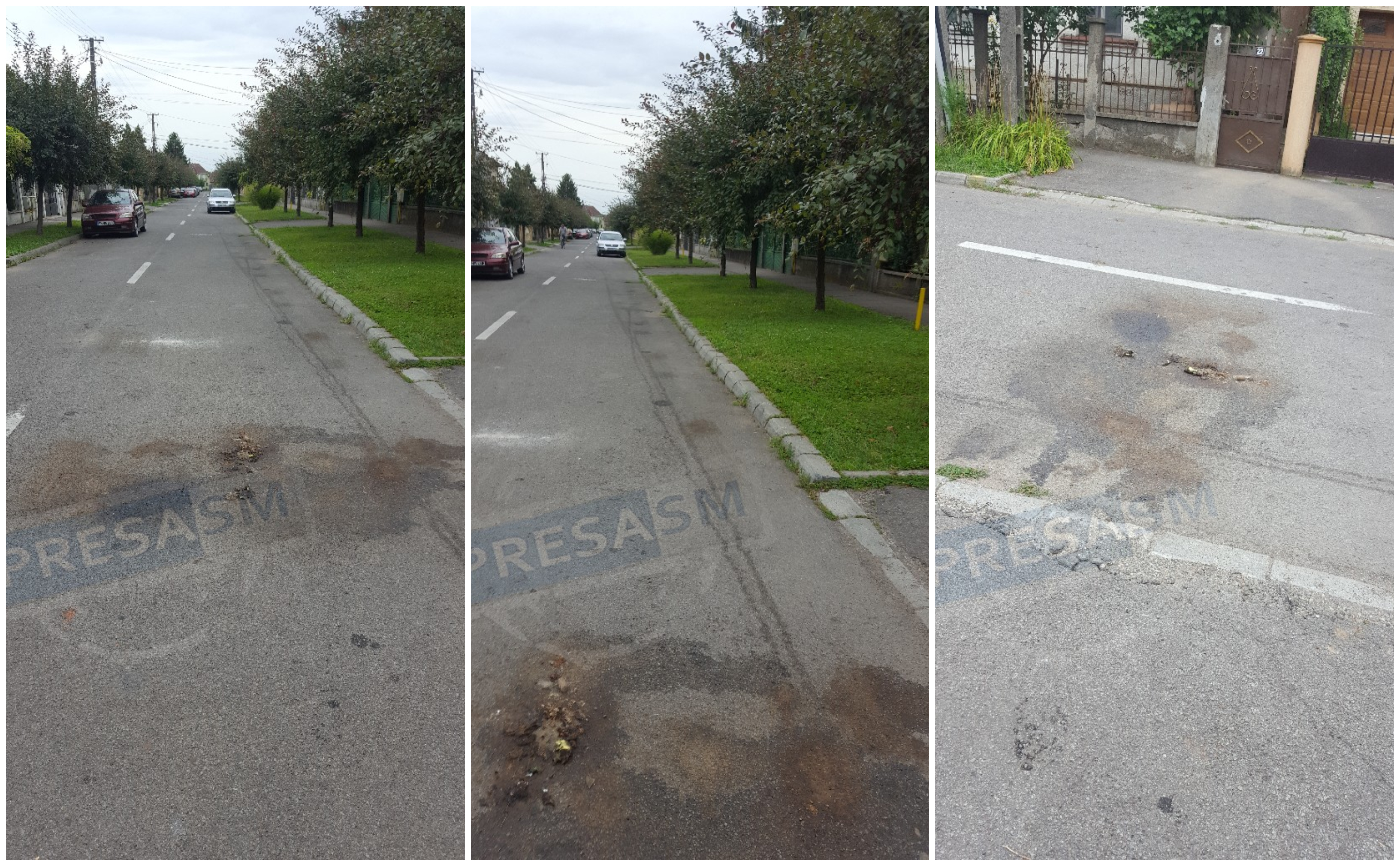 FOTO. Florisal-ul împrăștie putoare în tot municipiul Satu Mare. Vara nu-i ca iarna