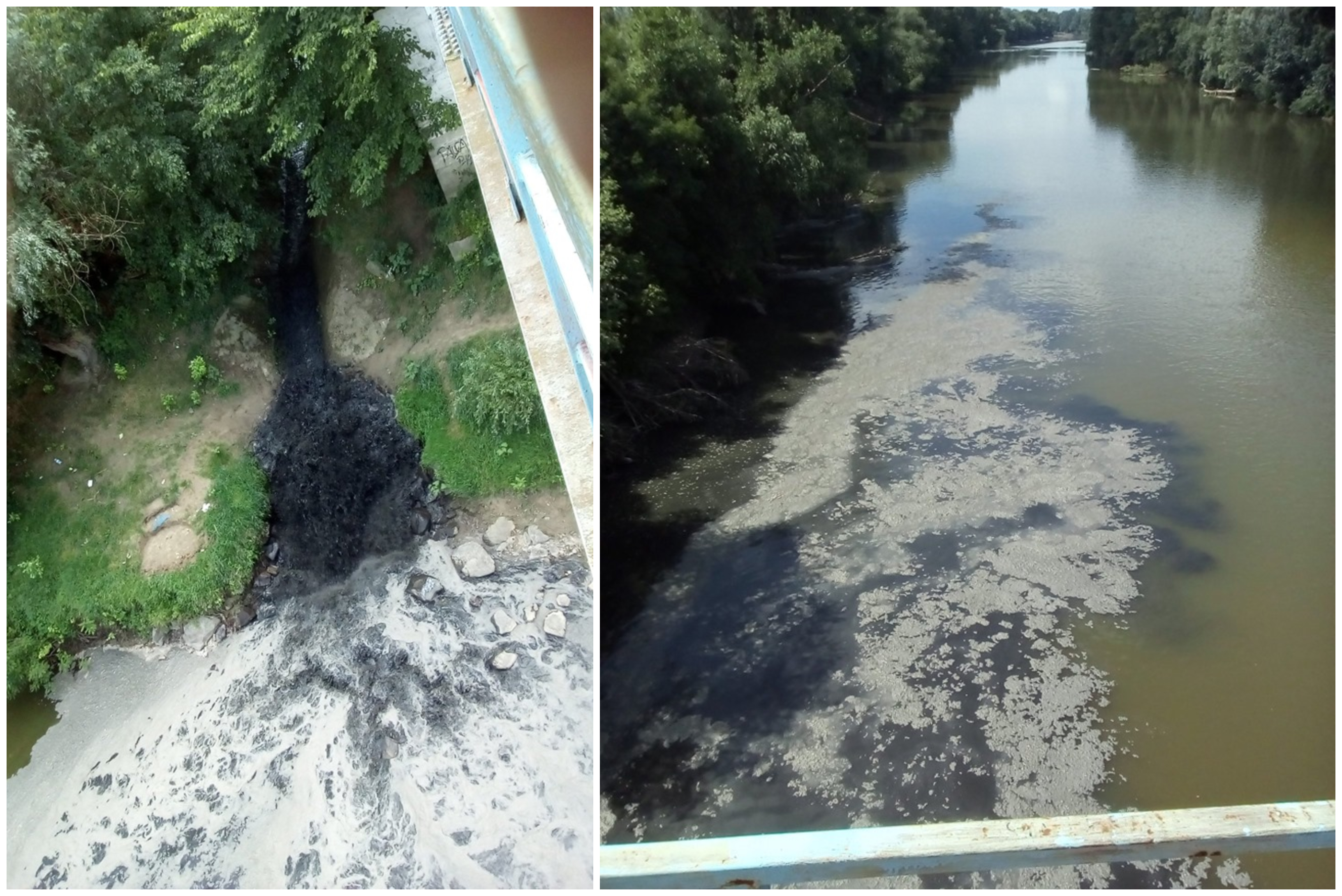 FOTOGALERIE. Misterul poluării de pe Someș, deslușit. Cine este ”vinovatul”