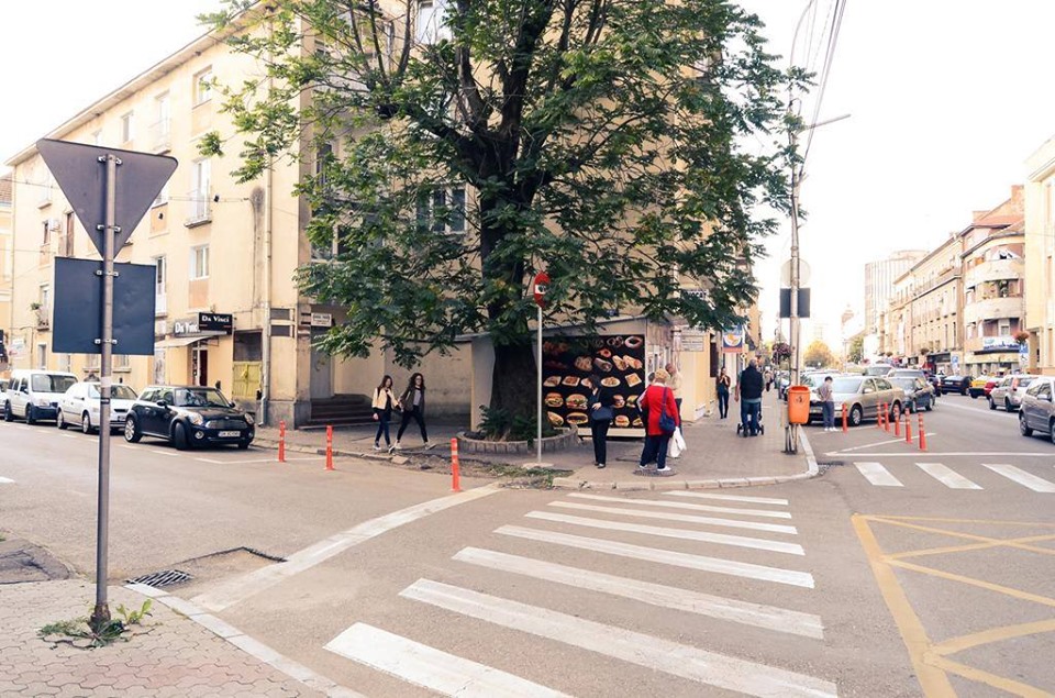 FOTO. Primarul Kereskenyi, dispoziție pentru salvarea singurului copac de pe B-dul Brătianu