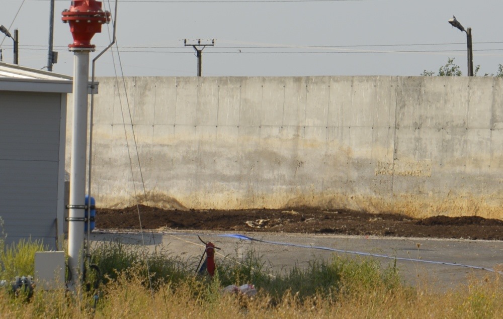 FOTO. Tot Careiul duhnește a cadavre! Ultimatum al Primăriei Carei