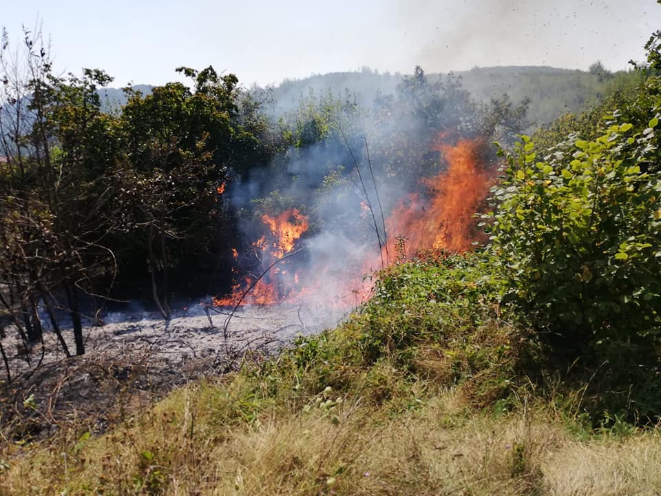 Garda de Mediu trage un semnal de alarmă. Curățarea terenurilor prin incendiere te poate arde la buzunar!