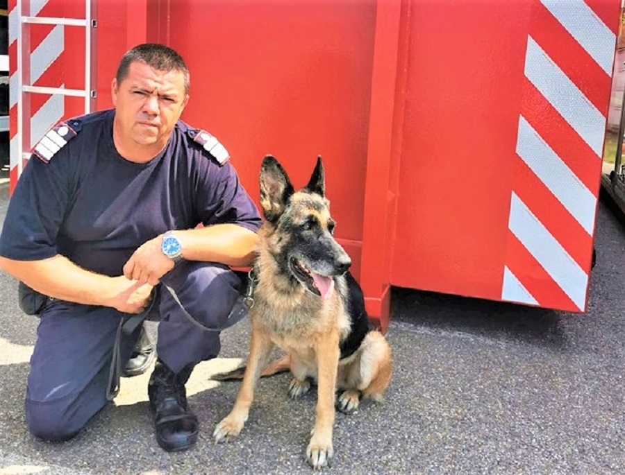 FOTO. Pompierii sătmăreni și-au sărbătorit ajutorul de nădejde: "La mulți ani, MEPA!"