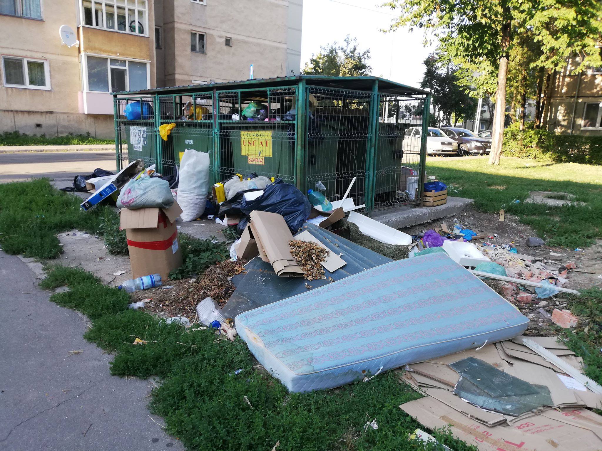 FOTO. Primăria Satu Mare are soluția pentru combaterea aspectului mizerabil