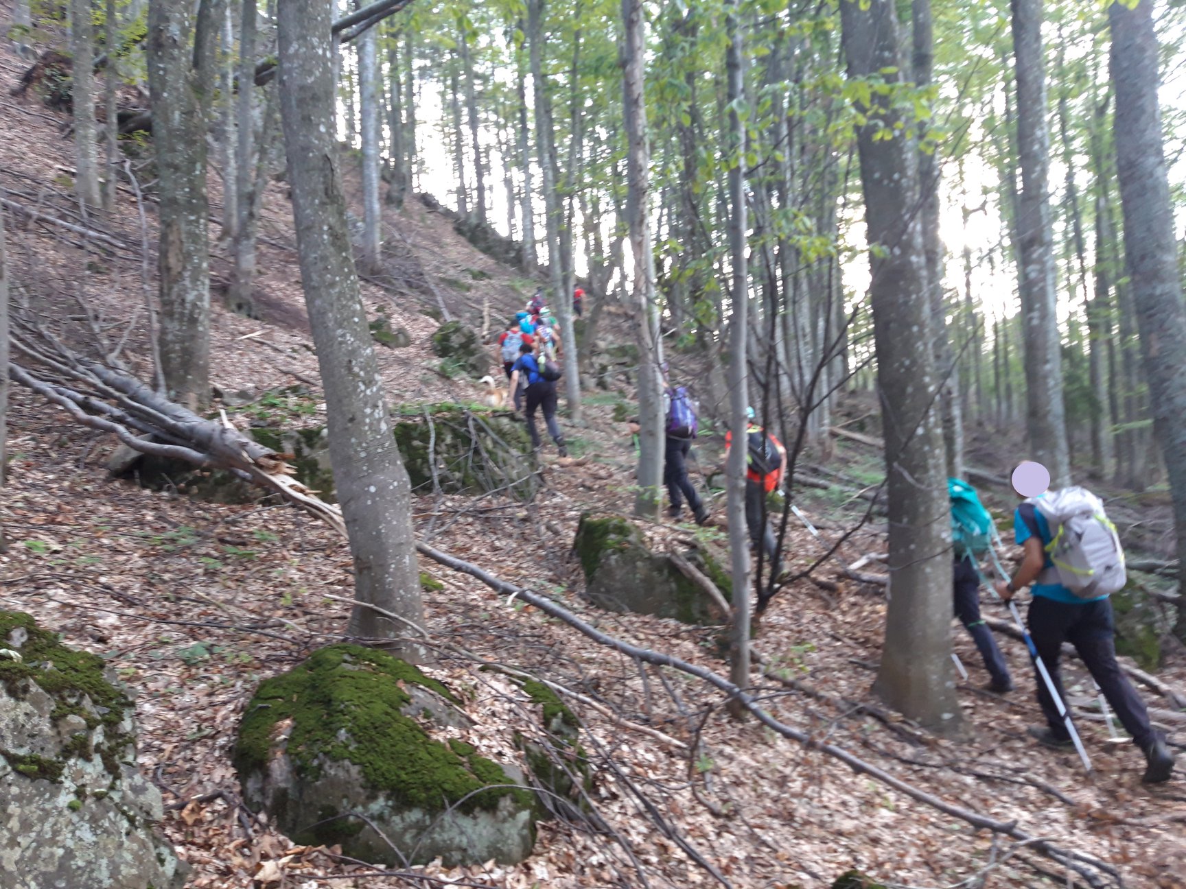 FOTO. Unsprezece turiști, inclusiv copii, recuperați de salvamontiștii sătmăreni