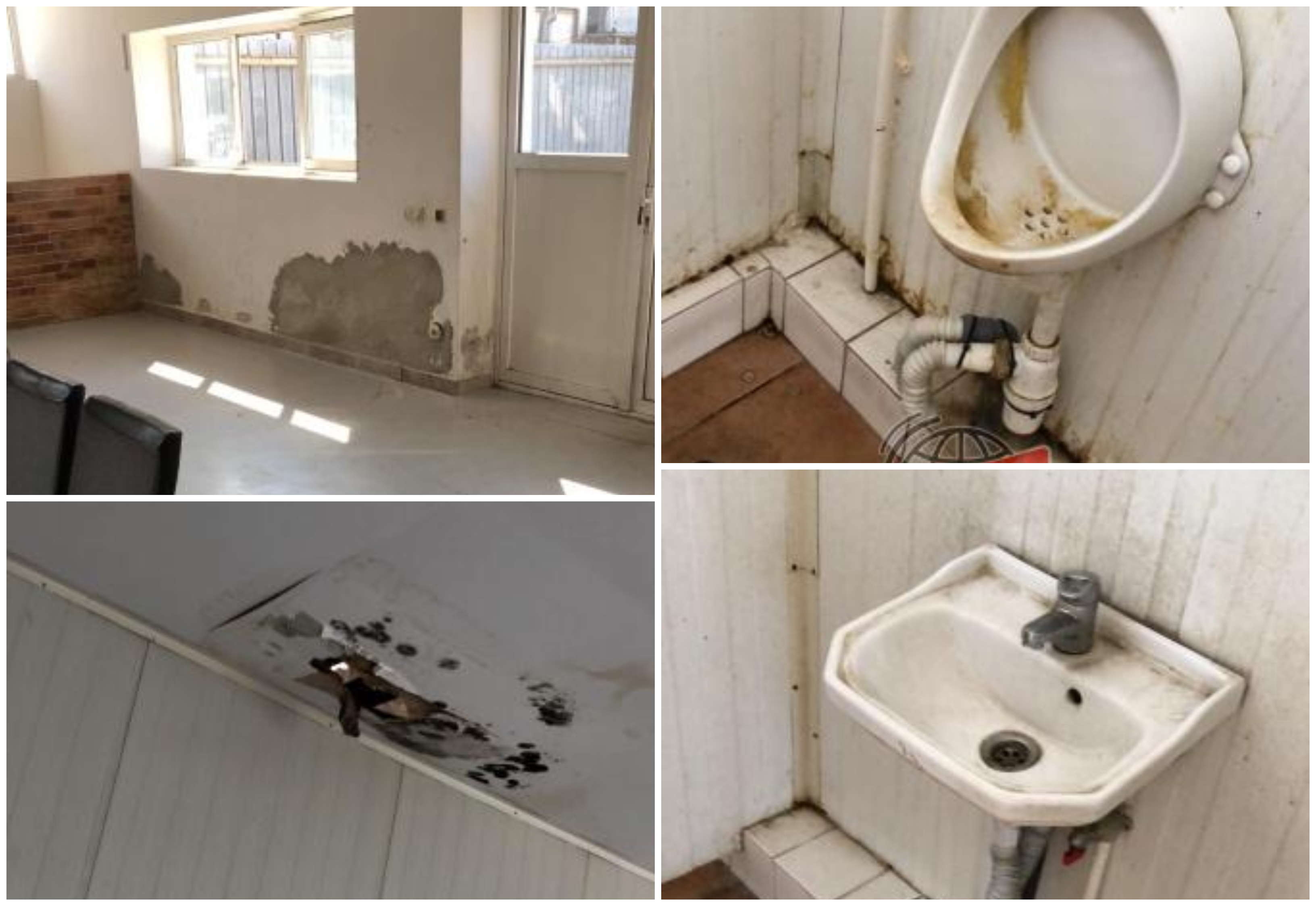 FOTO. Turiști francezi, șocați de ce au găsit în Satu Mare: ”Film de Hitchcock”