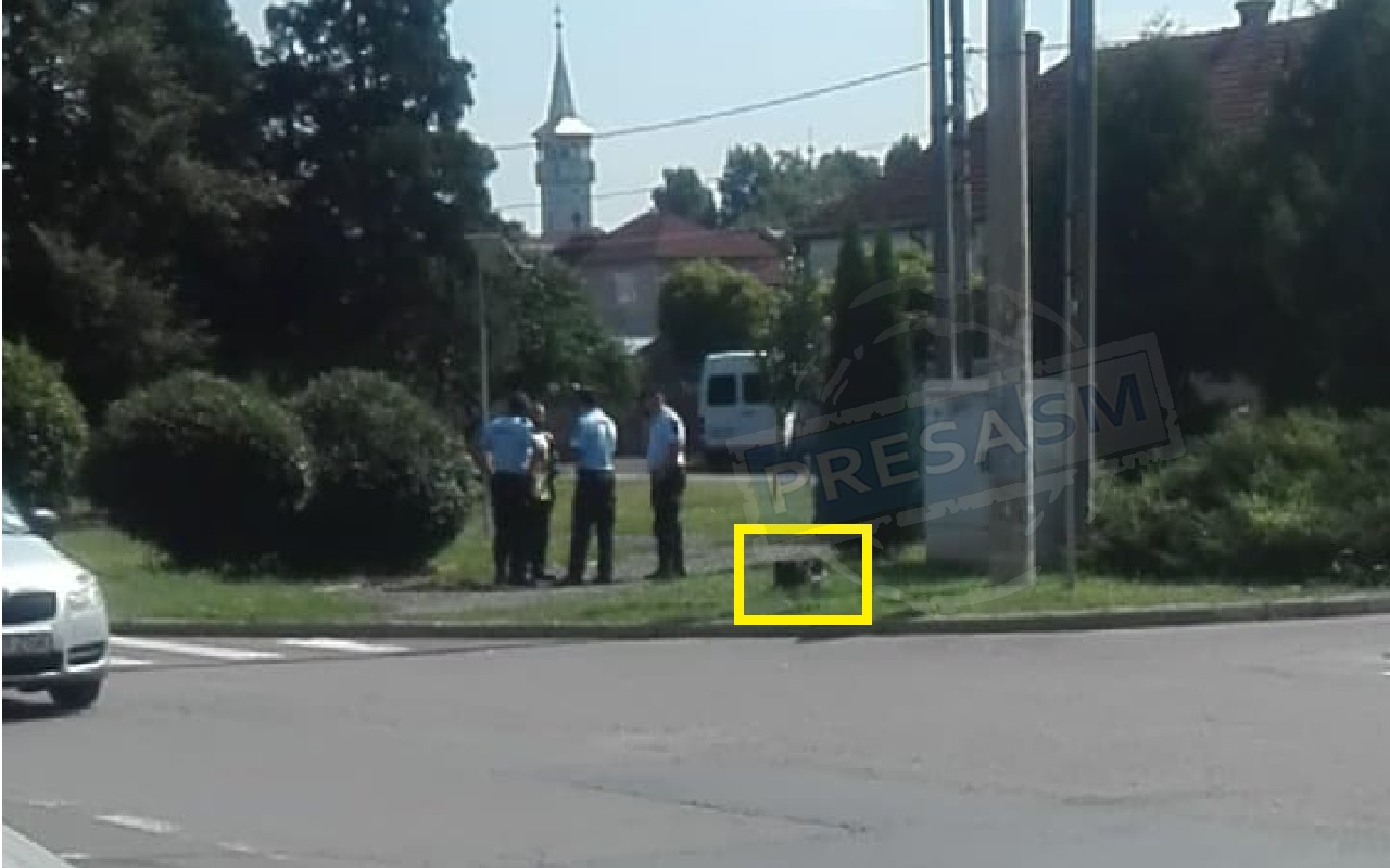 FOTO/VIDEO. Geantă suspectă în Satu Mare, pe B-dul Cloșca. Au intervenit jadarmii