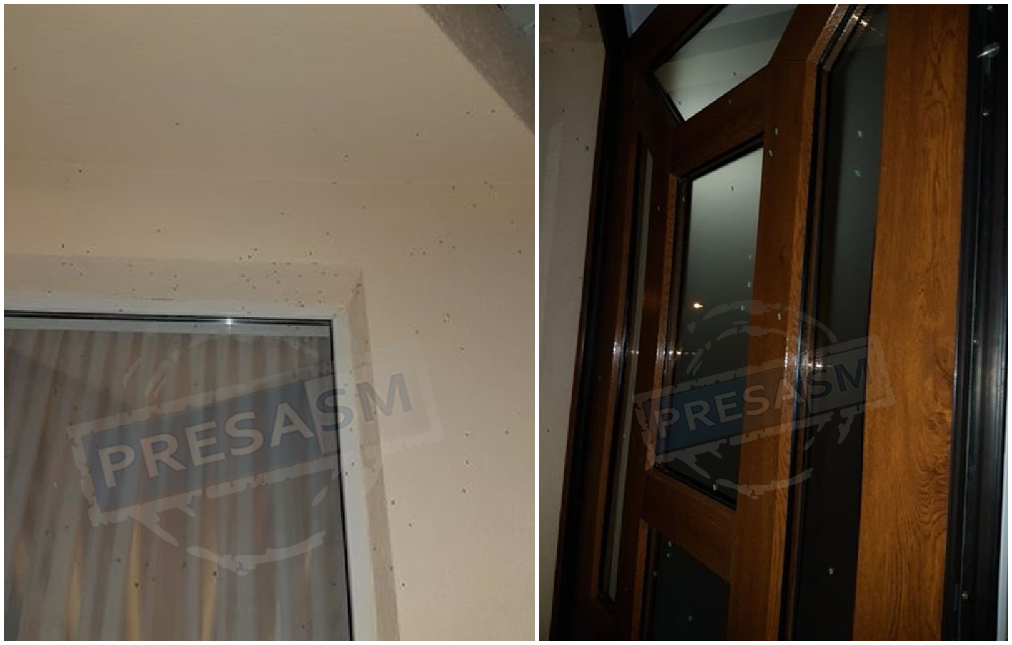 FOTO. Invazie de insecte în municipiul Satu Mare. Intră peste tot