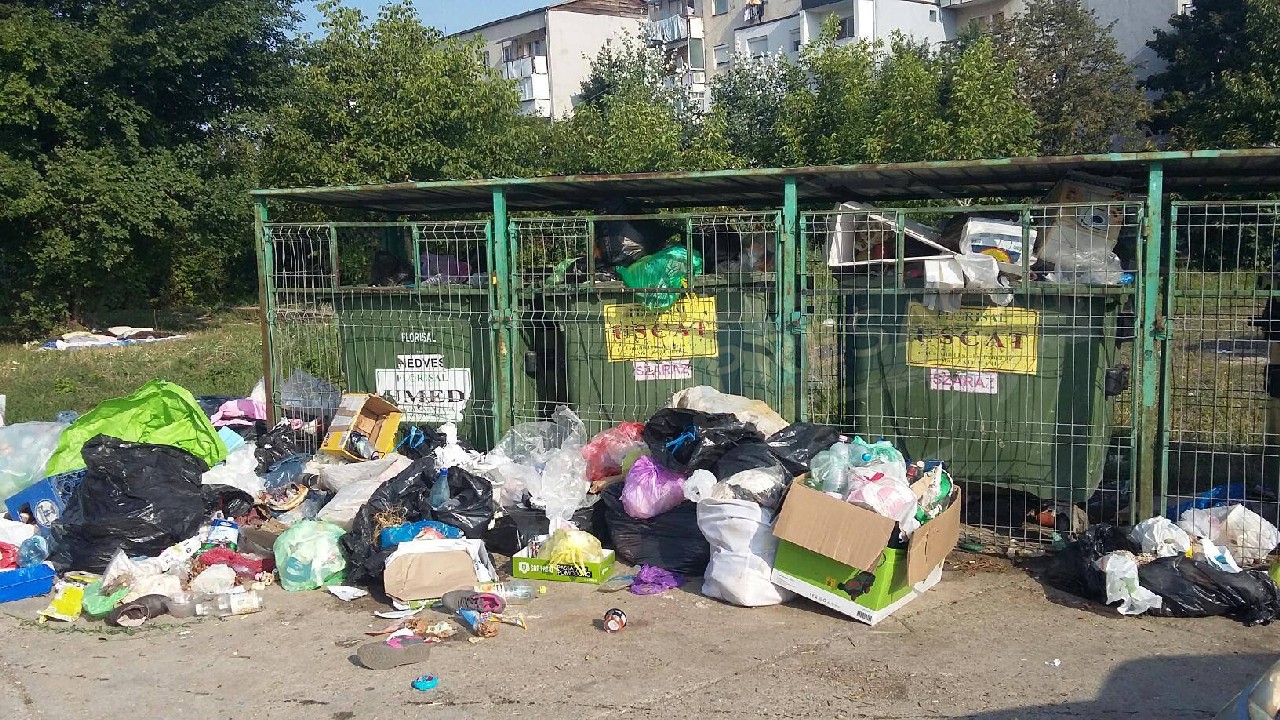 FOTO. Mai avem firmă de salubritate în Satu Mare?! În Micro 17 e cam...jale