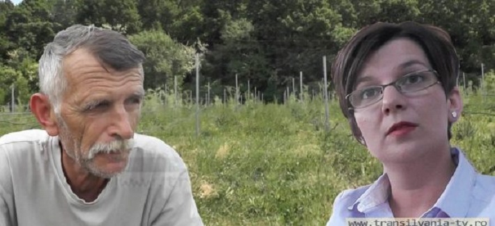 Luptă la baionetă pentru salvarea celei mai mari plantații de bio-goji din Europa, de la Ciuperceni