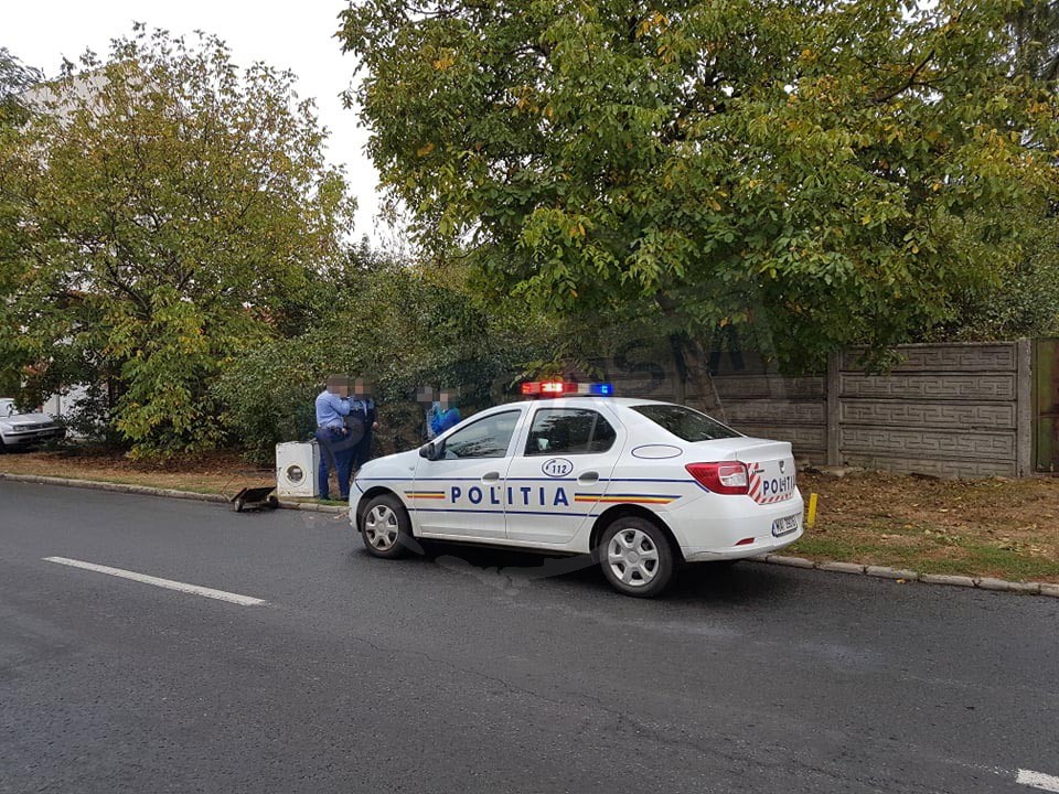 O femeie din Medieșu Aurit a fost violată și bătută, în plină zi, în propria sa casă