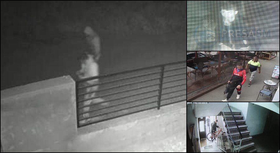 FOTO. Sătmărenii caută hoții pe Facebook. Au luat-o înaintea polițiștilor și fac "crowdsourcing"