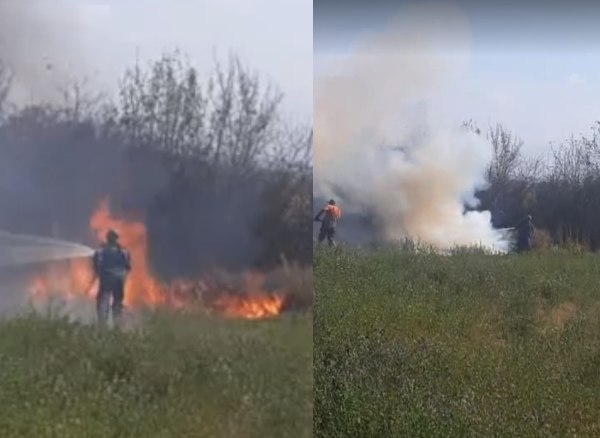 VIDEO. Panică în Odoreu. Un individ a dat foc grădinilor din vecini