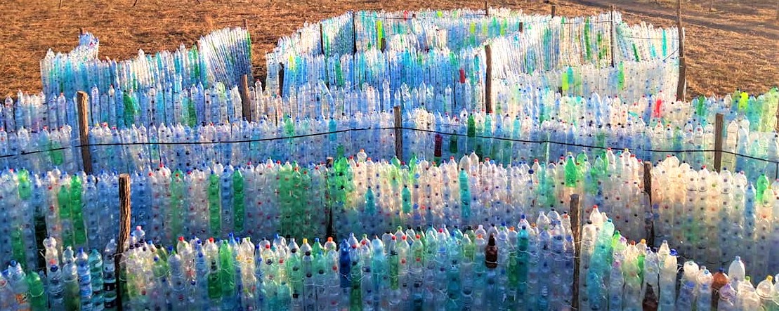 FOTO. Elevii și profesorii sătmăreni au dus la bun sfârșit un nou proiect inedit