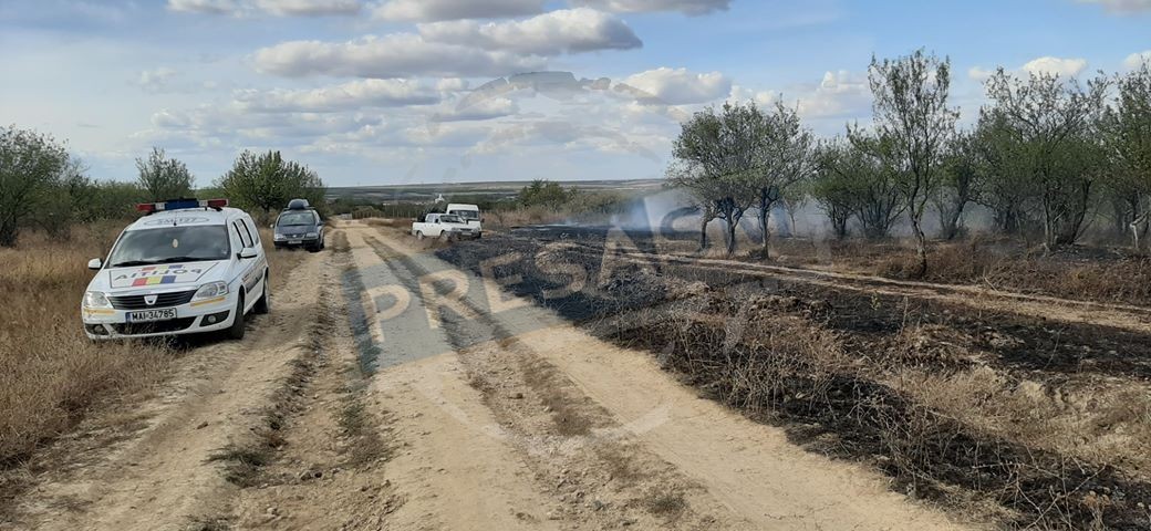 FOTOGALERIE. Livadă în flăcări, vegetație făcută scrum. Intervin pompierii