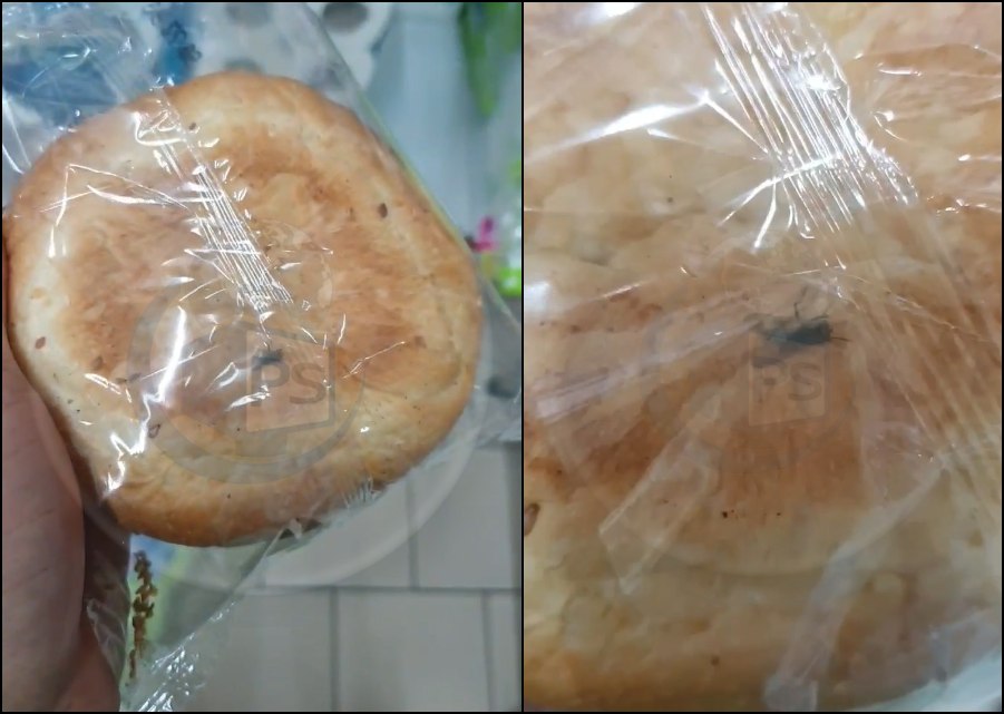 VIDEO. Nou în municipiul Satu Mare! Muscă vidată în pungă. Bonus: o chiflă