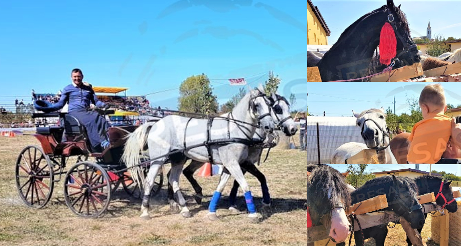 FOTO/VIDEO. Cel mai impresionant festival de cai din județ! Tradiție reînviată