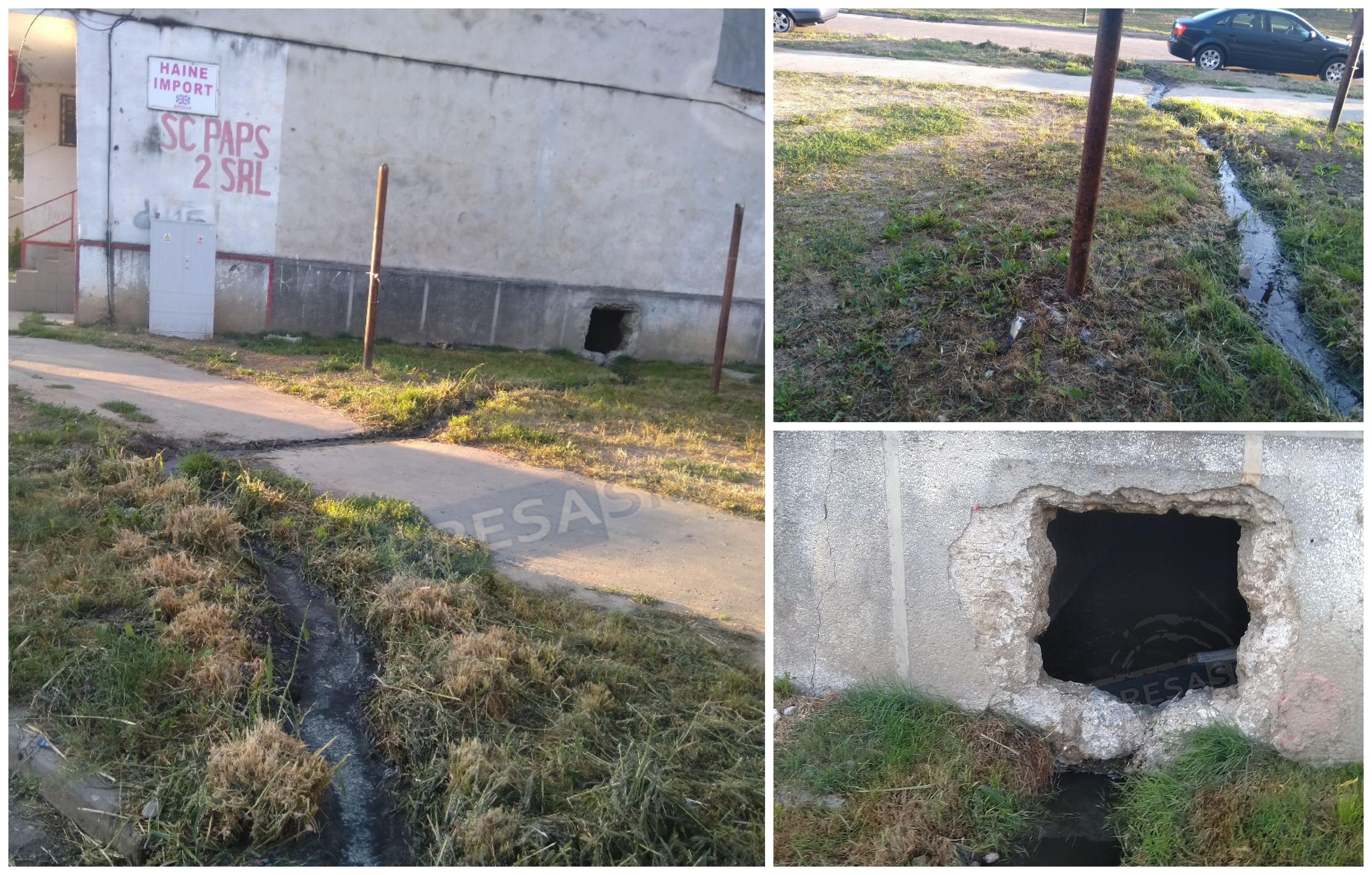 FOTO. ”Dorel” de Satu Mare. A spart un bloc și a făcut un râu de dejecții pe stradă!