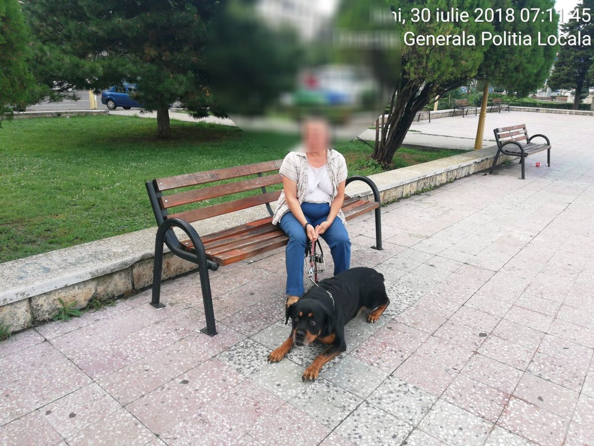 Sătmărence amendate fiindcă plimbau câini ”de luptă” fără zgardă și fără lesă