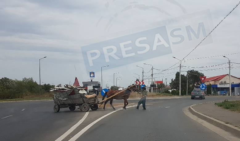 FOTO/VIDEO. Sătmarul minunilor! Când blochezi cu căruța sensul giratoriu