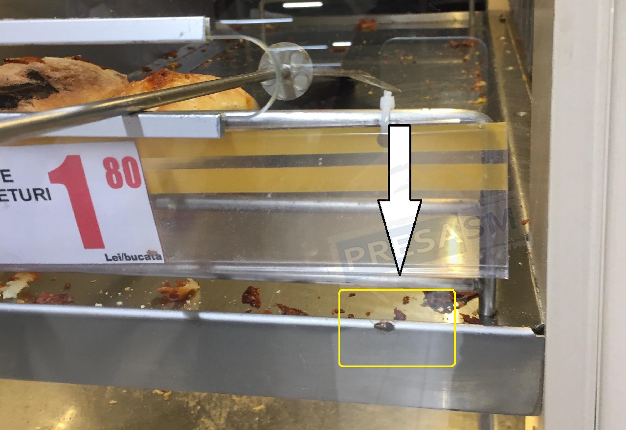 FOTO. Gândacii fac slalom printre chifle și pâini, într-un hypermarket din Satu Mare