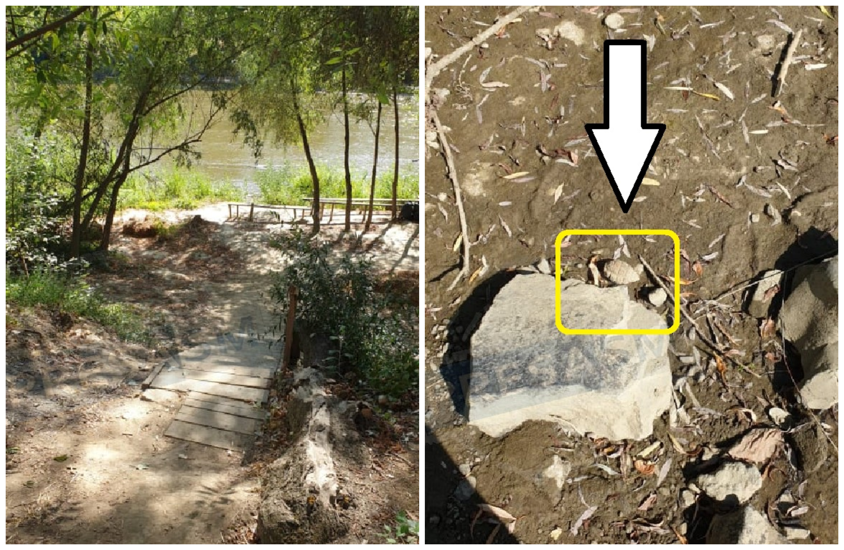 FOTO. Pericol de explozie în centrul Sătmarului! Grenadă ridicată de pirotehniști