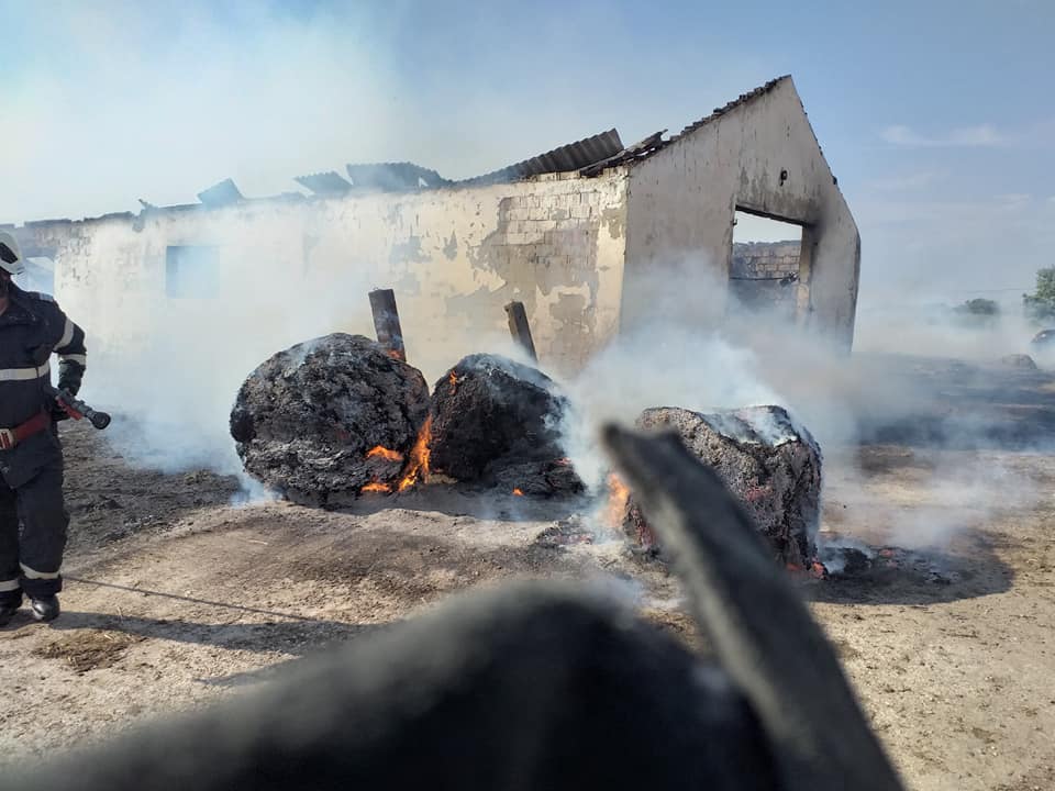FOTO. Sute de miei arși de vii în județul Satu Mare! Pompierii nu au avut sursă de apă