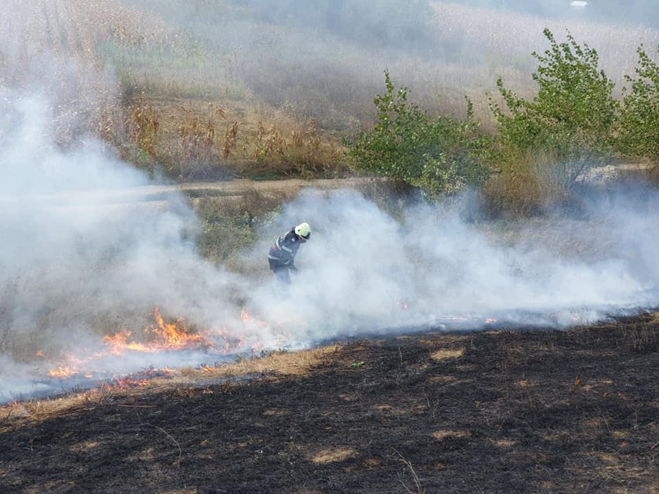 FOTO. Digul Someșului, în flăcări, în municipiul Satu Mare