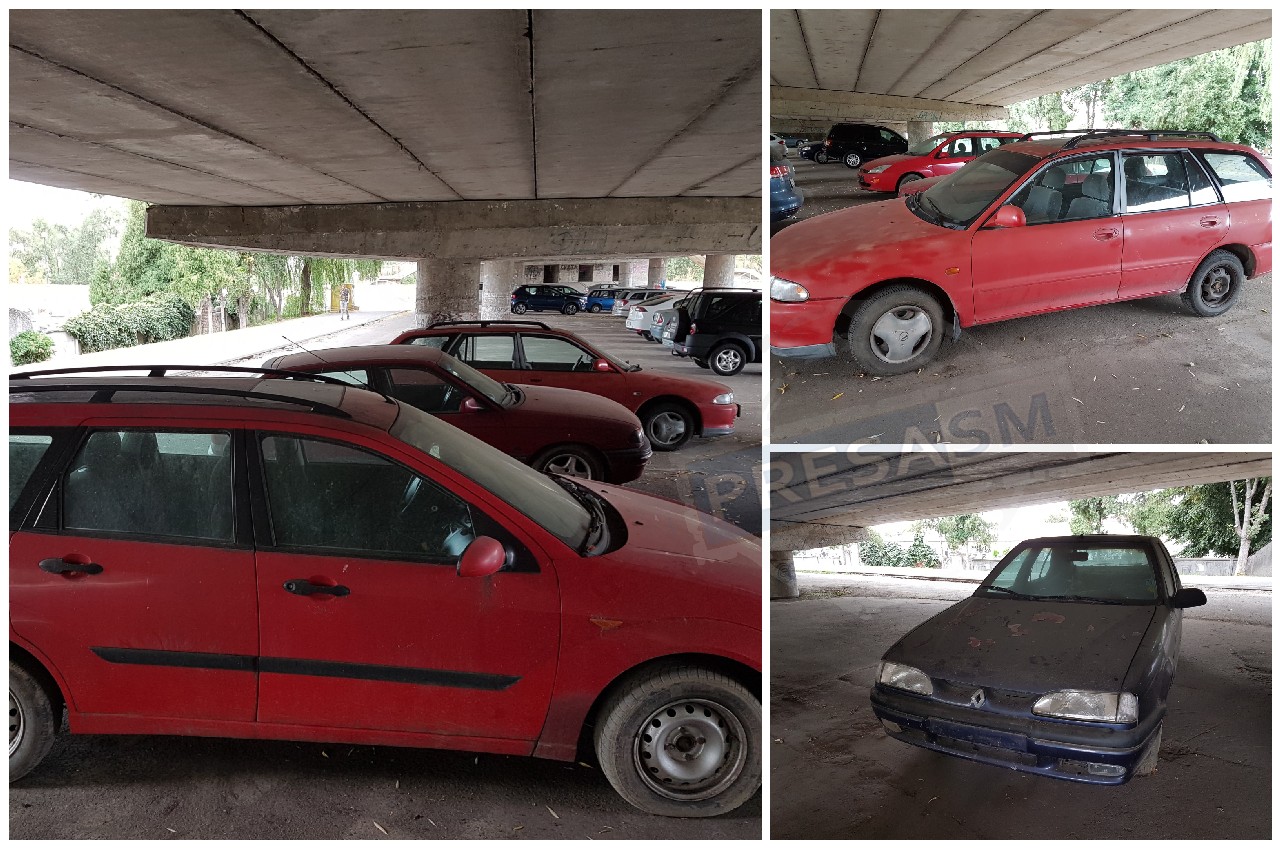 FOTOGALERIE. Raiul mașinilor abandonate! Gășești tot ce vrei sub Podul Decebal