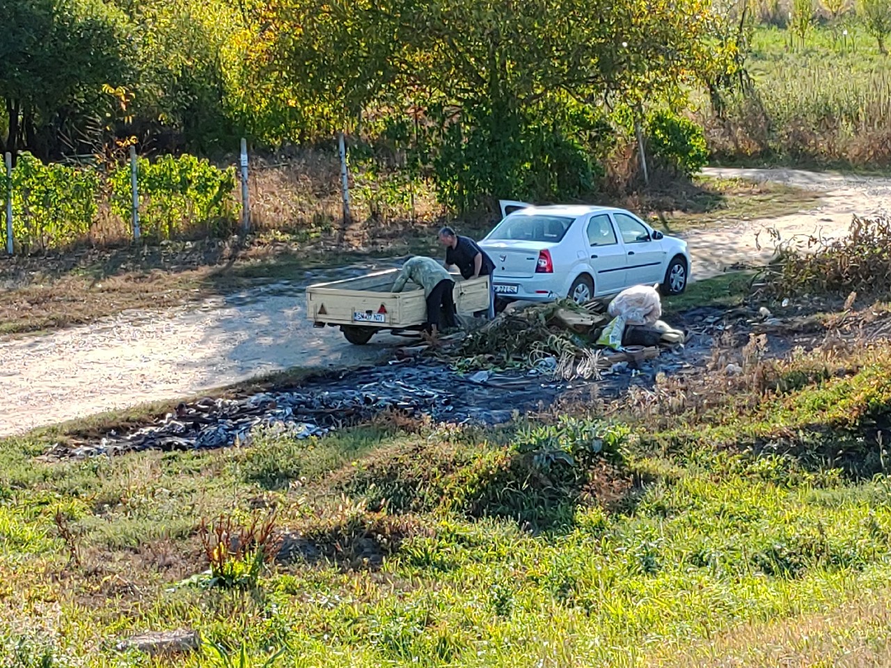 FOTOGALERIE. Nesimțiții care fac ”diguri” de gunoaie pe Someș, în Satu Mare