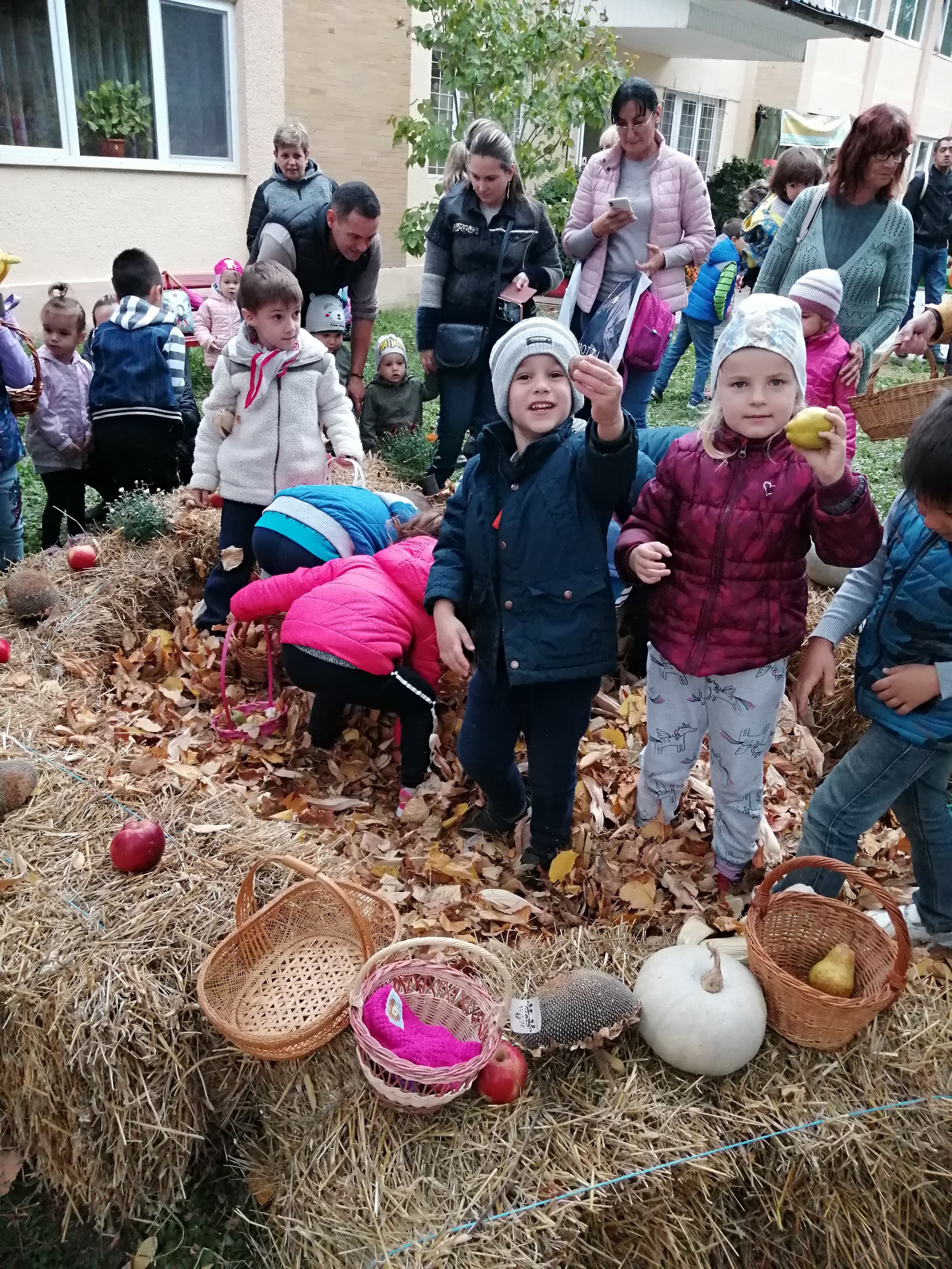 FOTOGALERIE. Grădinița la care se plantează, se culeg struguri și se face must