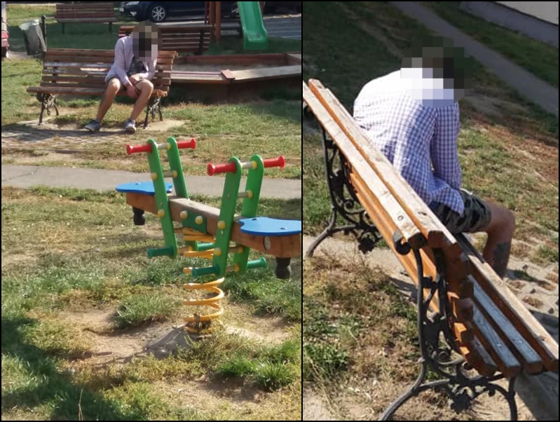 FOTO. Drogații, partenerii de joacă ai copiilor, în municipiul Satu Mare