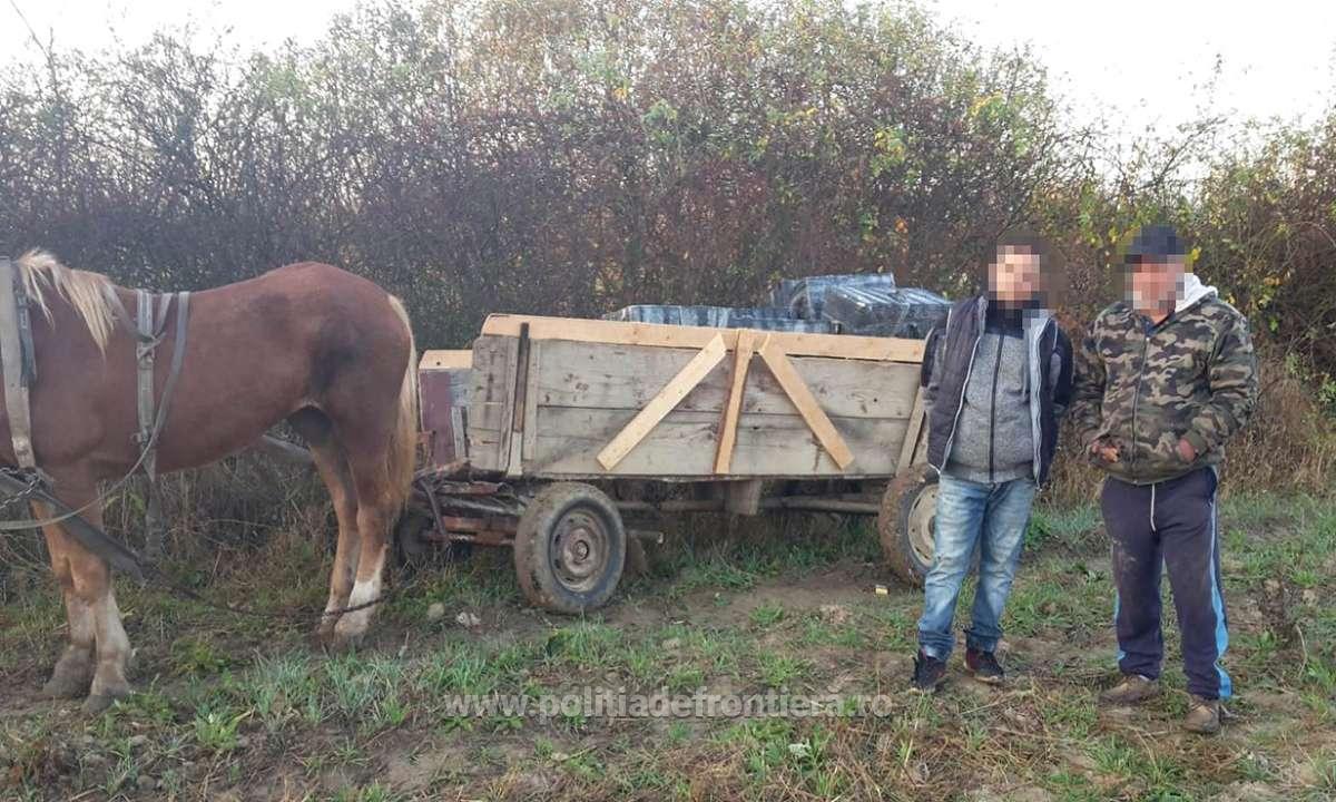 FOTO/VIDEO. Focuri de armă după o căruță, în județ! Doi sătmăreni reținuți