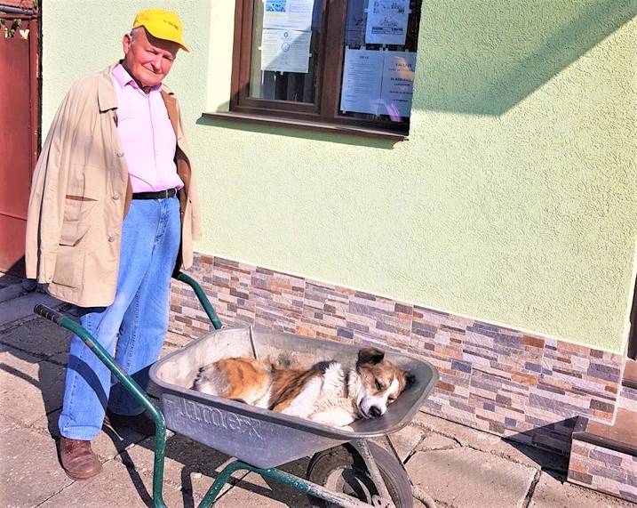FOTO. Un bătrân (84 ani) și-a dus câinele cu roaba 8 km până la veterinar
