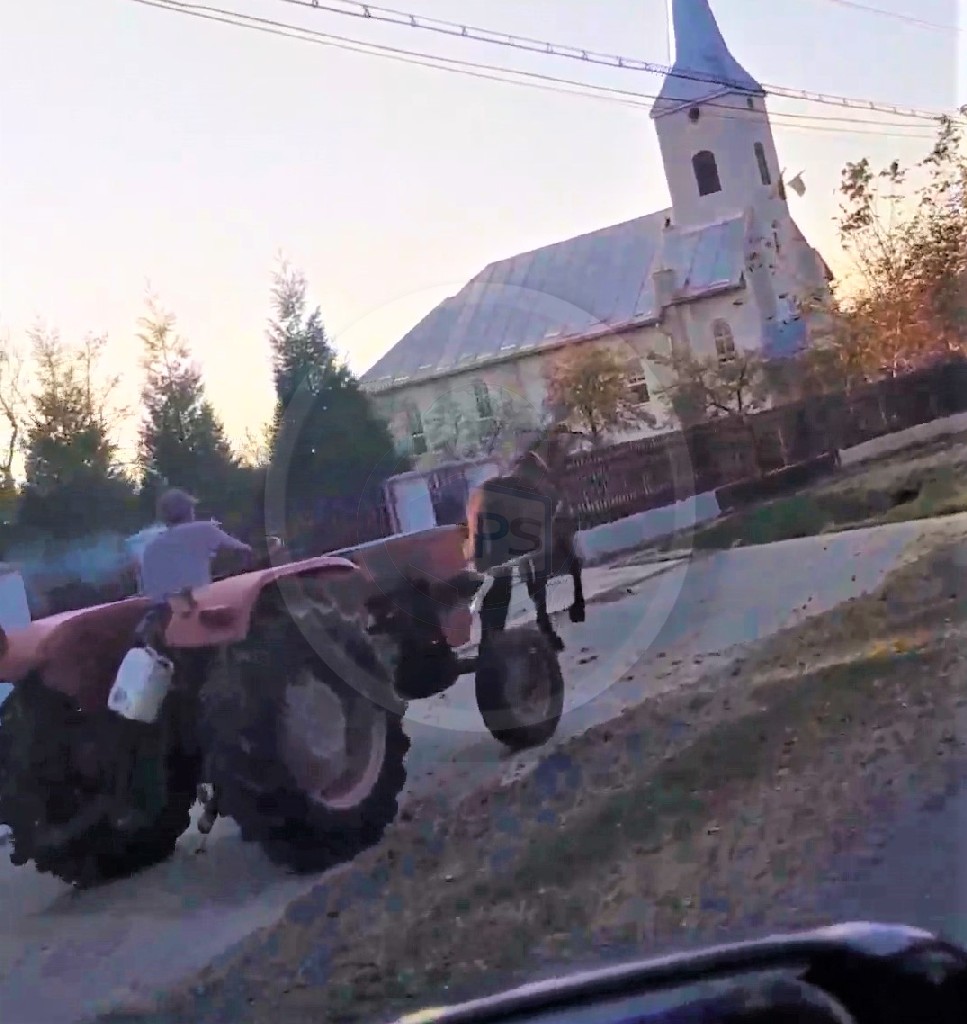 VIDEO. Și-a pus calul să-i tragă tractorul. Martorii acuză exploatarea animalelor