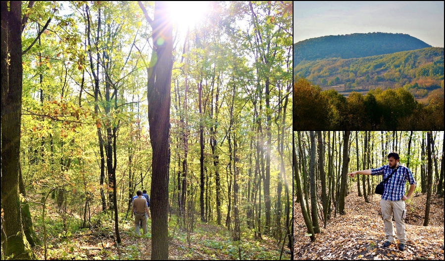 FOTOGALERIE. Singurul castel montan din Satu Mare, obiectivul unui nou traseu turistic
