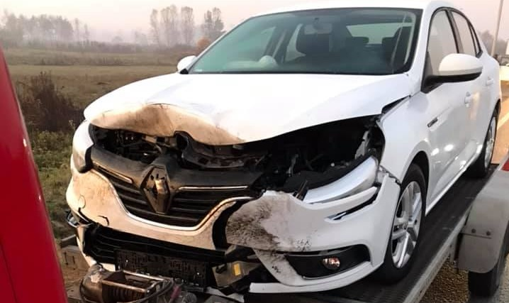 FOTO. Accidente provocate de mistreți pe drumurile dintre SM și BM