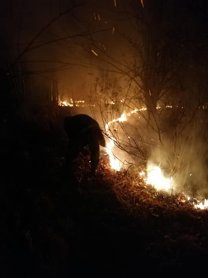 FOTO. Hectare întregi cuprinse de flăcări în județ! Foc provocat de inconștienți