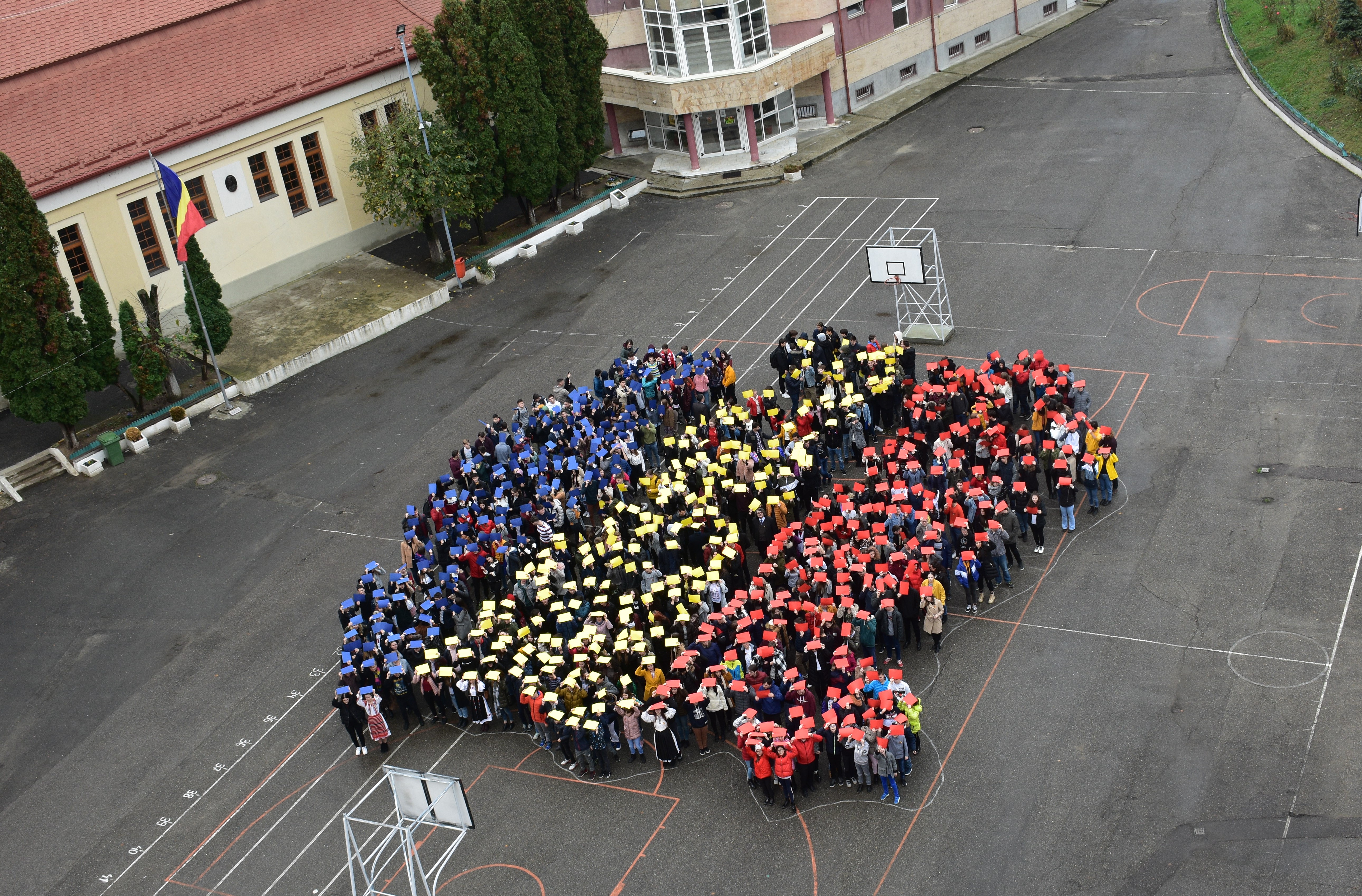 FOTO. Impresionant! Sute de elevi din Satu Mare au format un tricolor uriaș