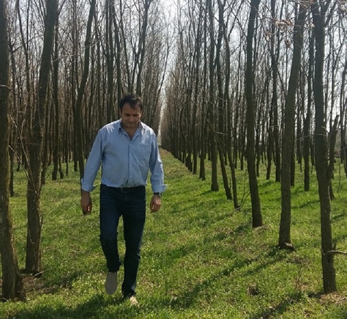 FOTO. Bărbat amendat după ce a plantat 40.000 de arbori pe terenul său! În timp ce alții defrișează