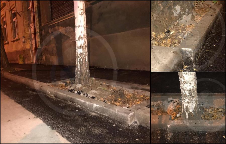 FOTO. Borduri buclucașe în Satu Mare: Gata să îți spargă roata și să îți distrugă janta