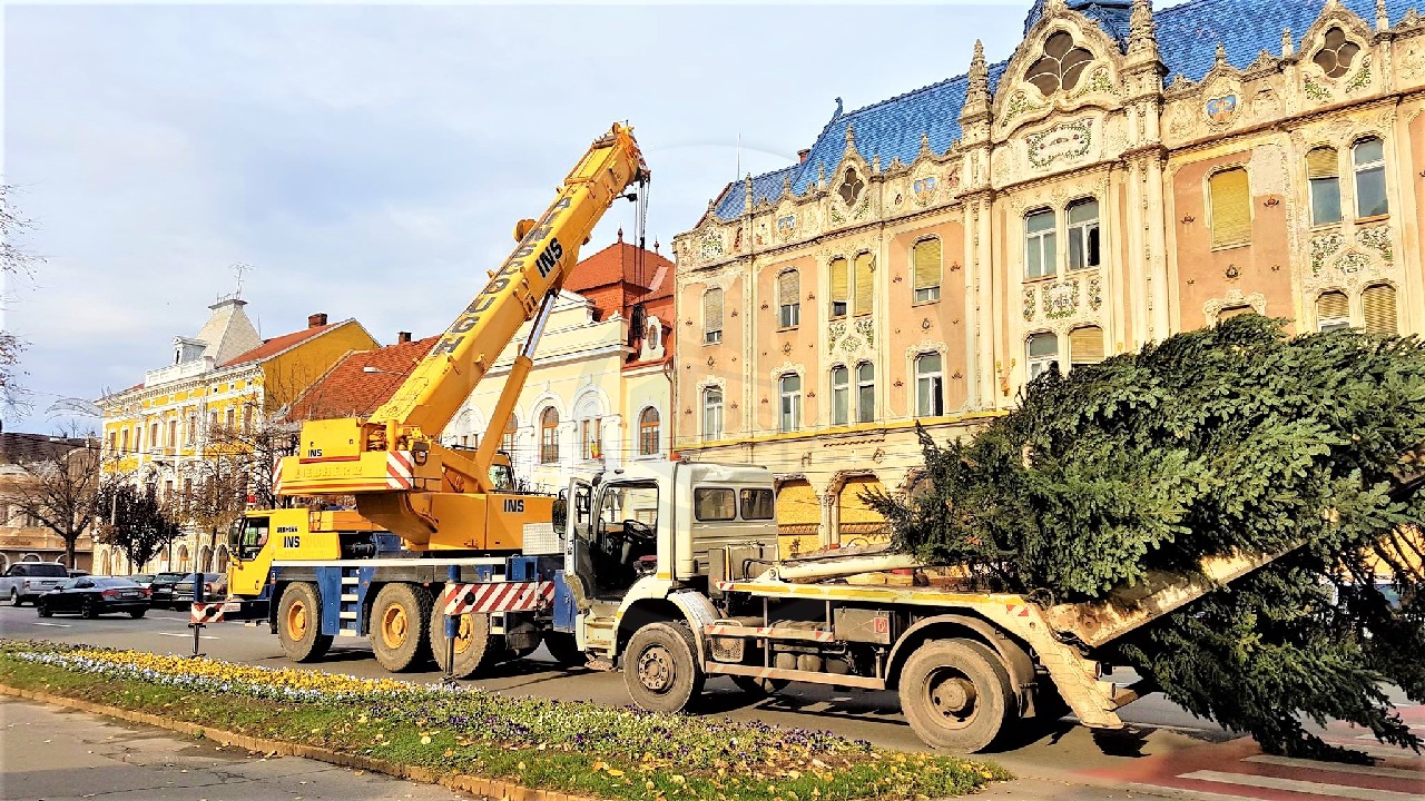 FOTO/VIDEO. Sărbătorile se apropie cu pași repezi. Brazii de Crăciun împodobesc Sătmarul