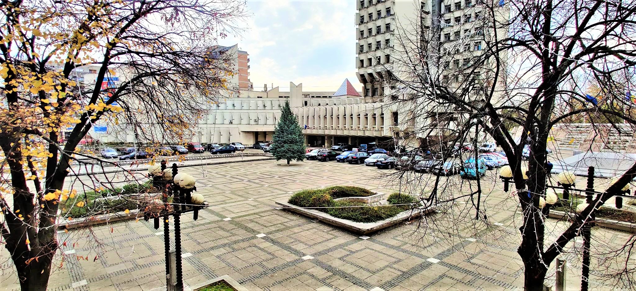 FOTO/VIDEO. A fost instalat bradul de Crăciun în centrul Sătmarului