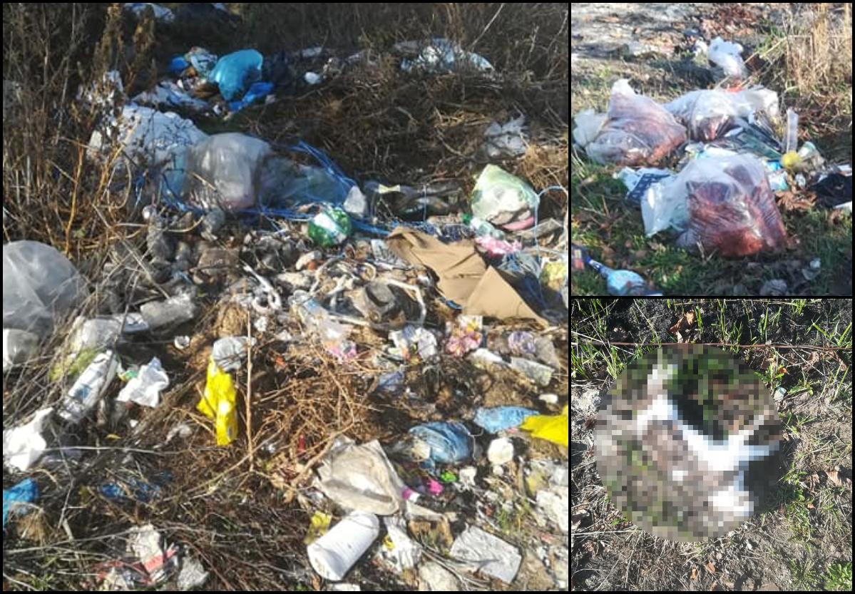 FOTO. ”Bariere” de gunoi la marginea municipiului Satu Mare. Imagini dezolante