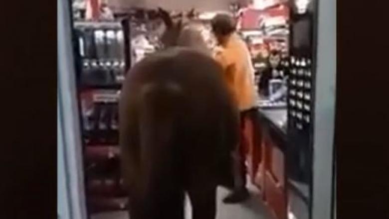 VIDEO. Un bărbat a mers la cumpărături, cu tot cu cal! În supermaket!