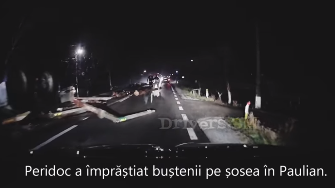 VIDEO. DN 19, între Satu Mare și Carei, BLOCAT. Bușteni răsturnați dintr-un camion