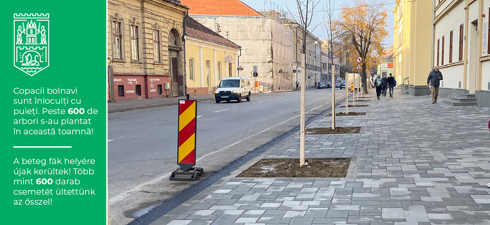 FOTOGALERIE. Sute de copaci plantați în municipiul Satu Mare! Se poate și așa!