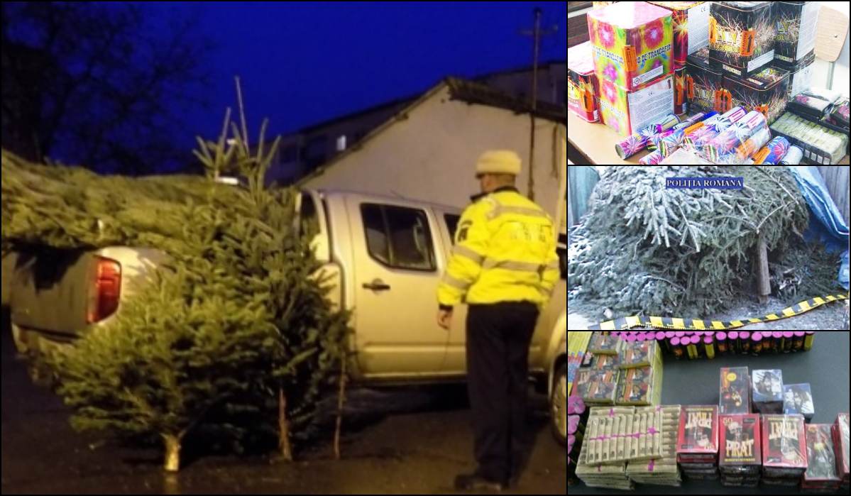 Polițiștii sătmăreni confiscă pe bandă rulantă brazi de Crăciun și artificii. Acțiuni în forță